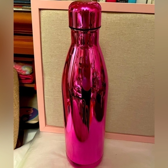 Other - NWOT Double wall vacuum insulated water bottle